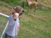 archery