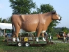 mc-fair-1-12