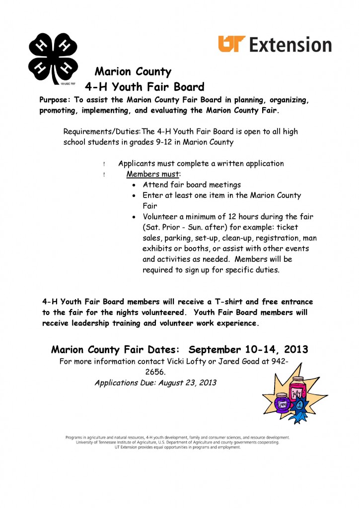 Youth Fair Board flyer 13